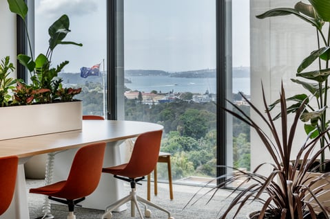 Balmain_126 Phillip St 2