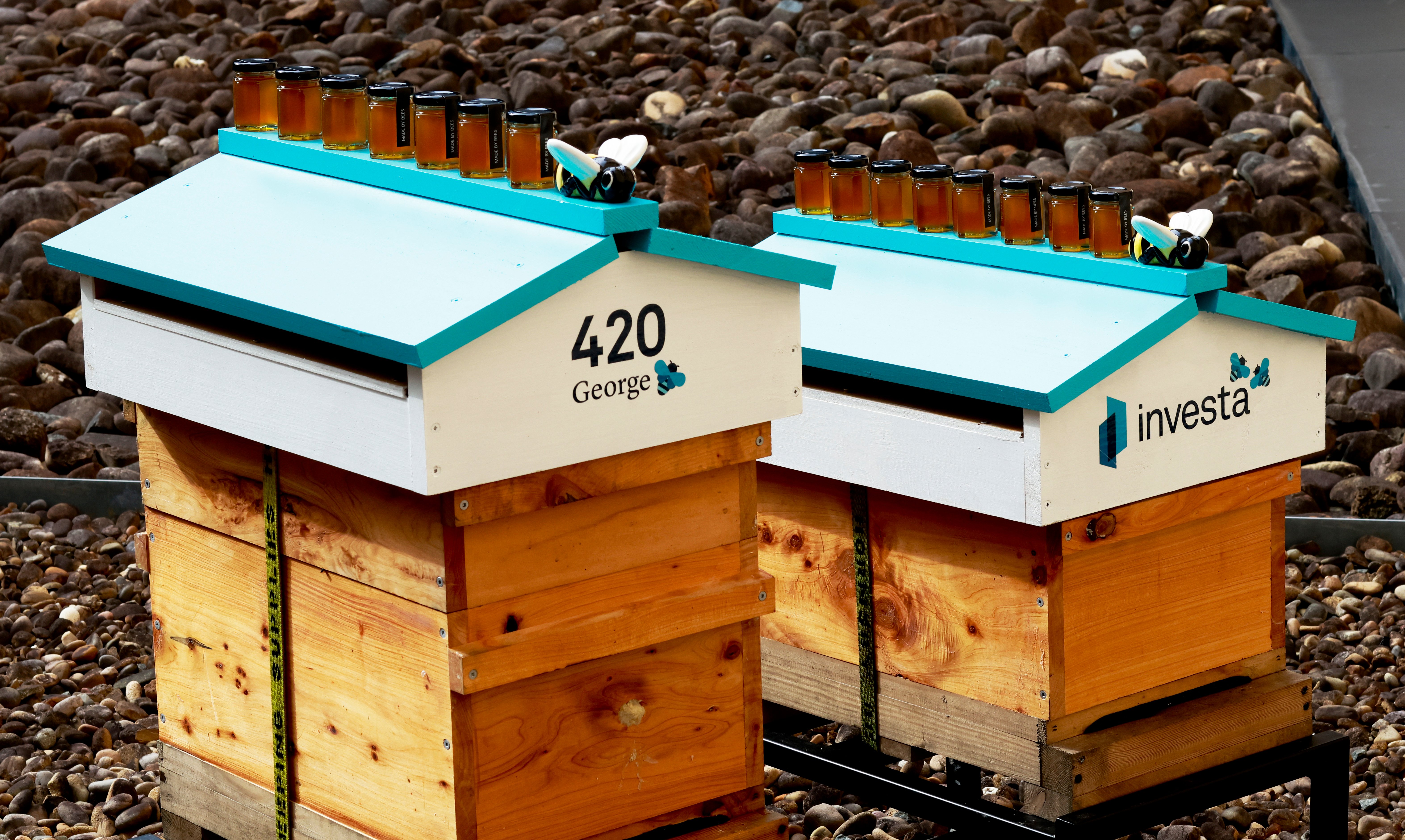 The new beehives at 420 George Street Sydney