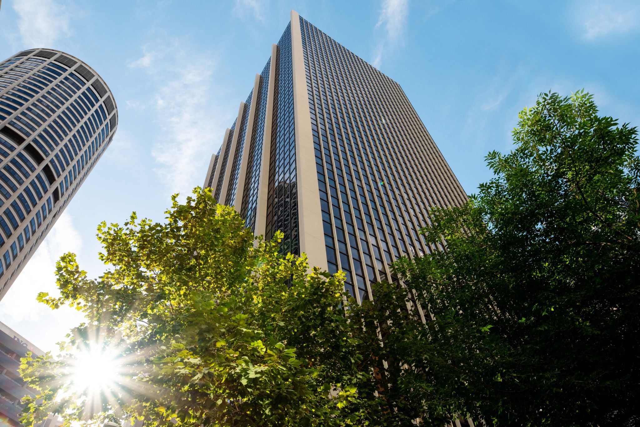 Sydney leads office market rebound, JLL reports