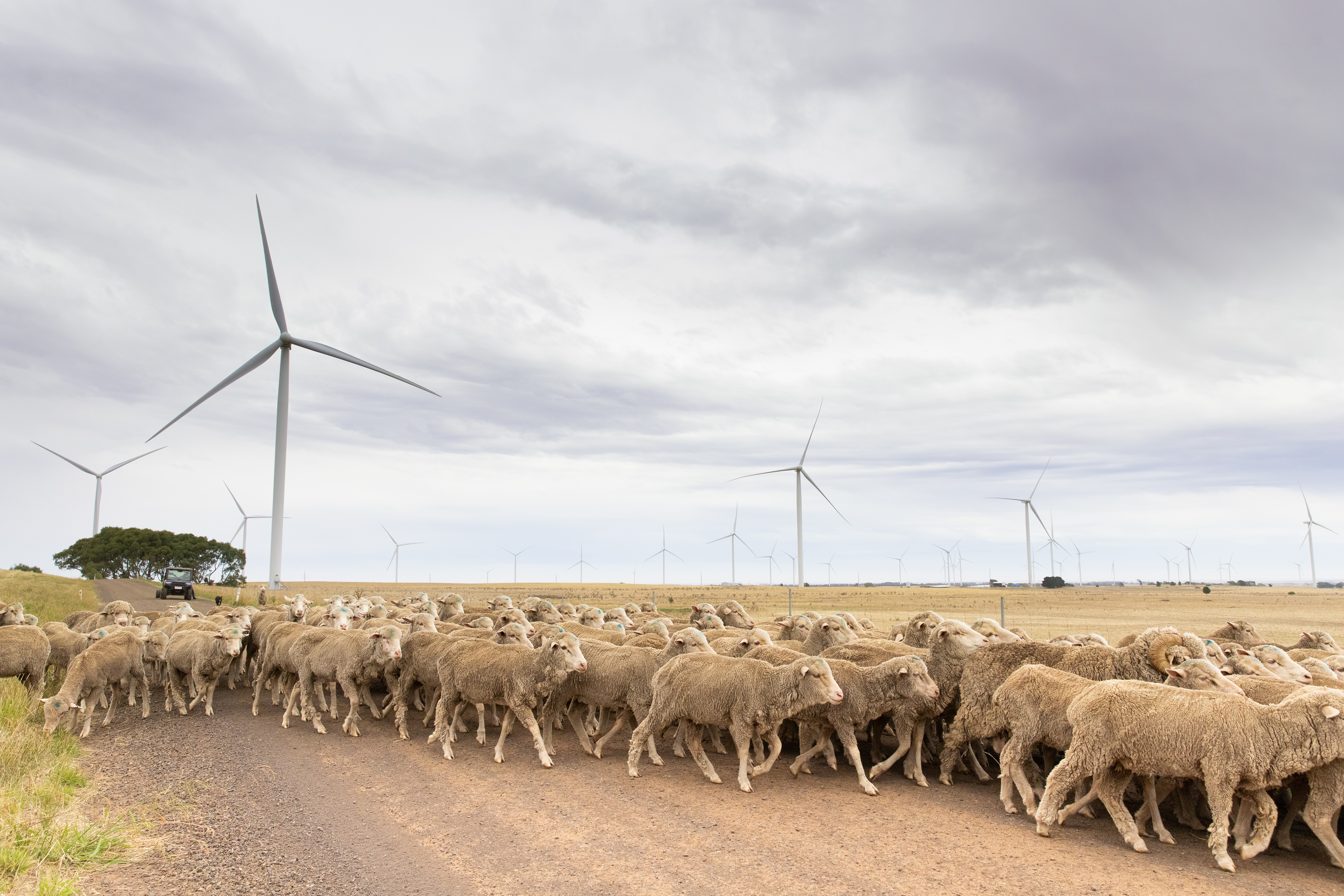 Investa continues renewable electricity with Origin agreement