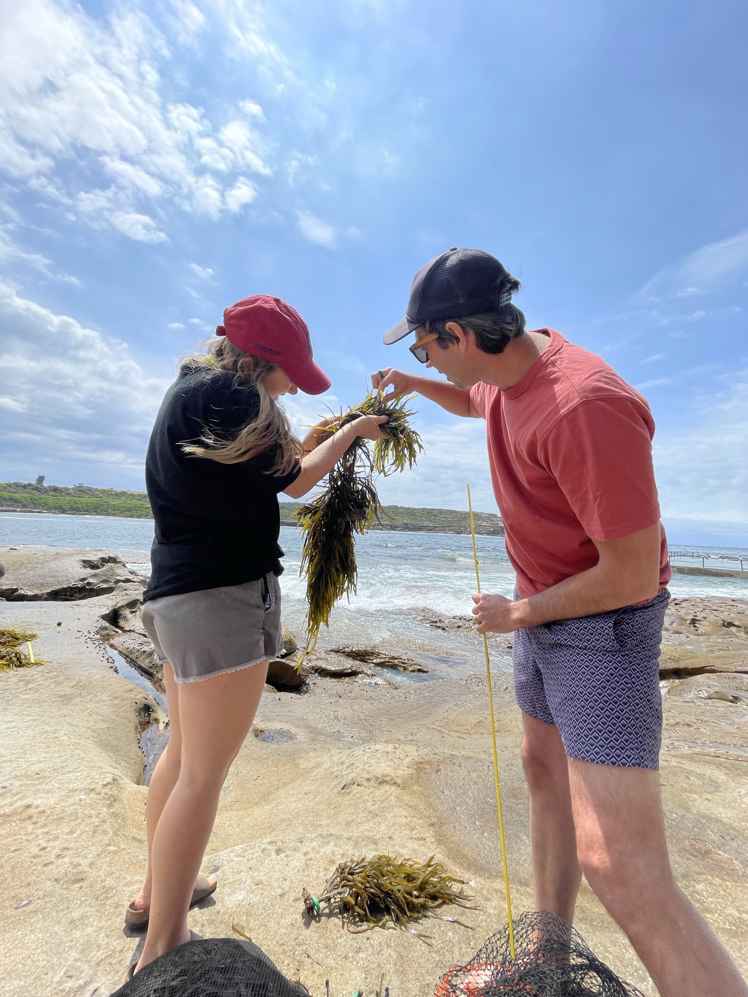 Supporting regeneration of nature