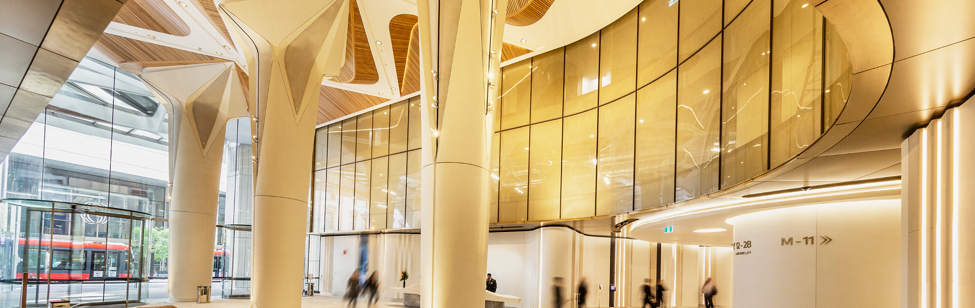 388-George-Web-Banner-2