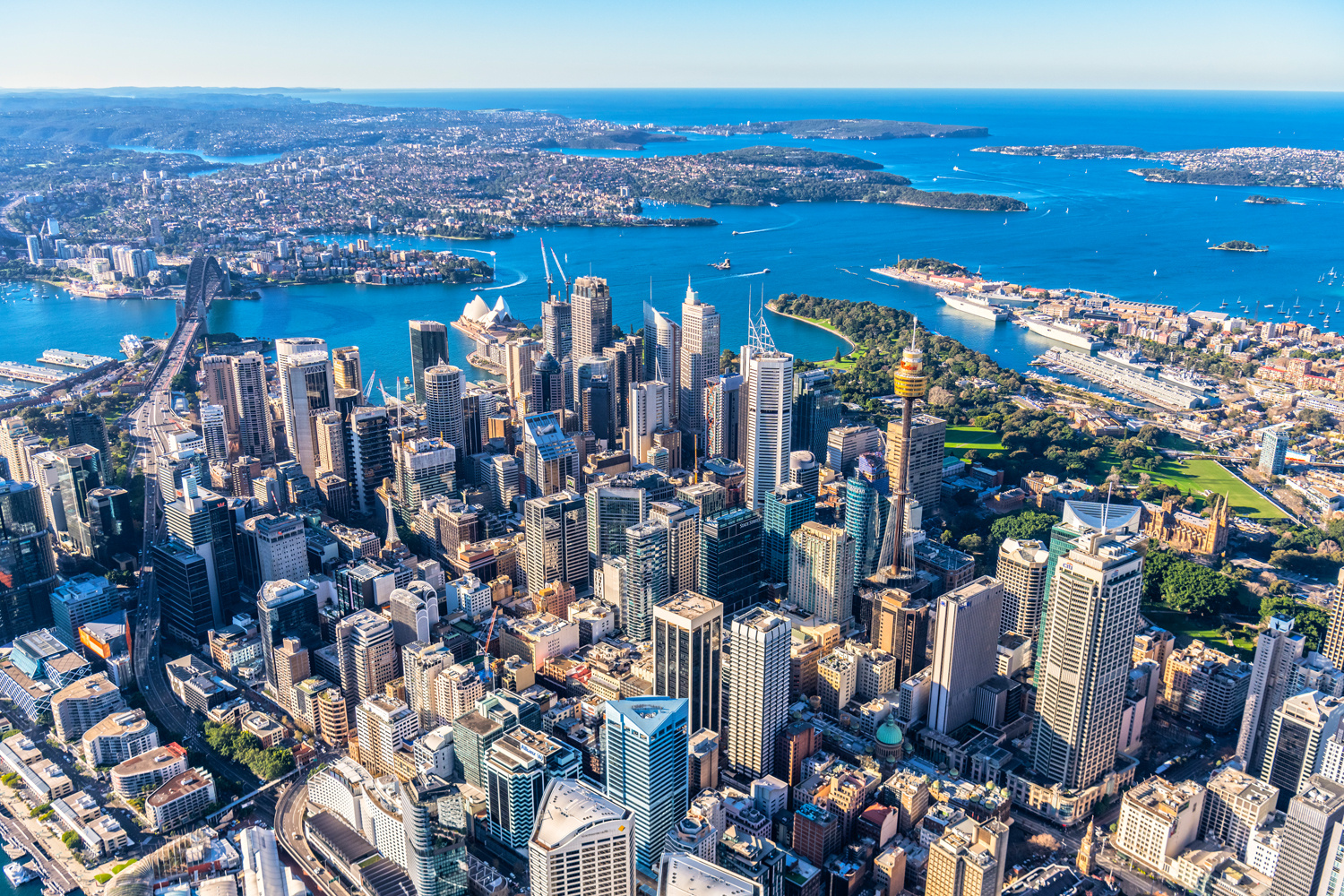 Recovery takes hold: Australia’s CBD office markets poised for growth in 2025